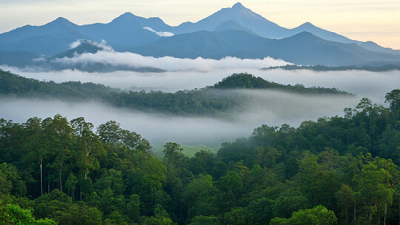 Knuckles Mountain Range