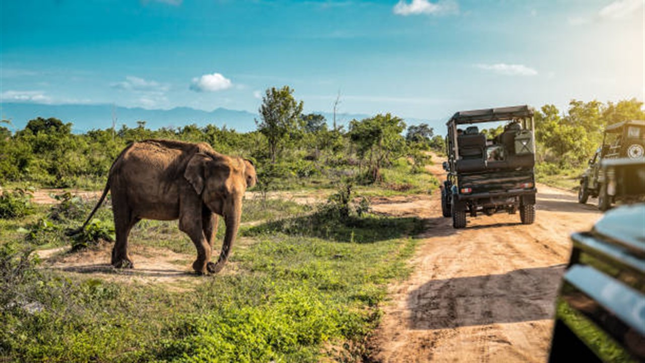 Udawalawe National Park